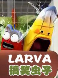 larva��Ц����